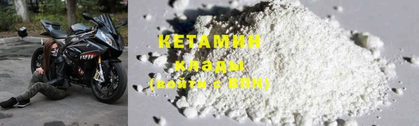 прущие грибы Горно-Алтайск