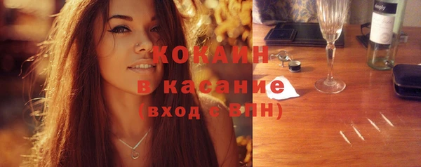 прущие грибы Горно-Алтайск