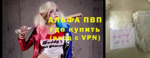 прущие грибы Горно-Алтайск