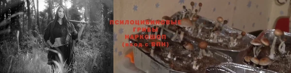 кокаин перу Горняк