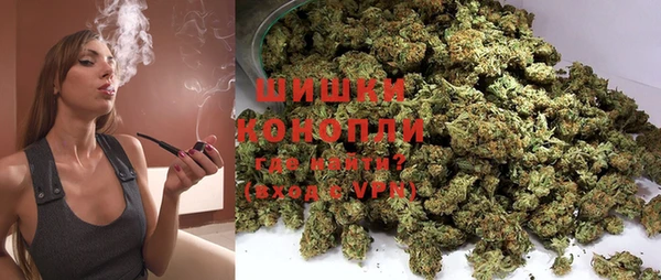 прущие грибы Горно-Алтайск
