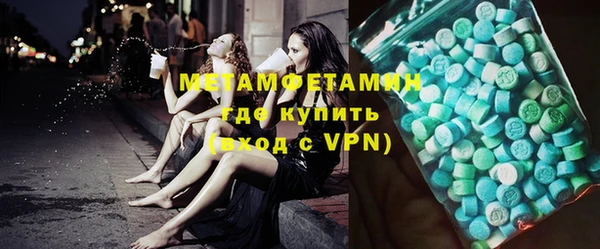 прущие грибы Горно-Алтайск
