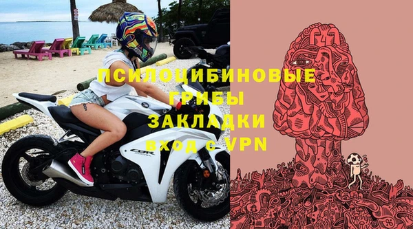 прущие грибы Горно-Алтайск
