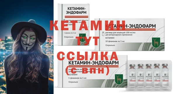 прущие грибы Горно-Алтайск