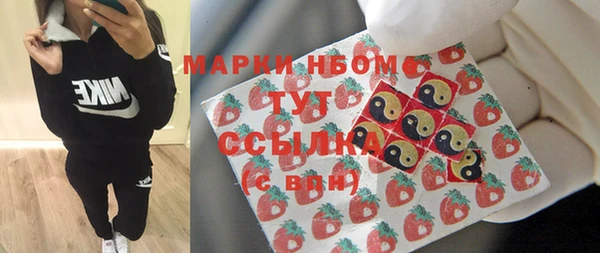 прущие грибы Горно-Алтайск