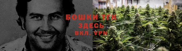 марихуана Горнозаводск